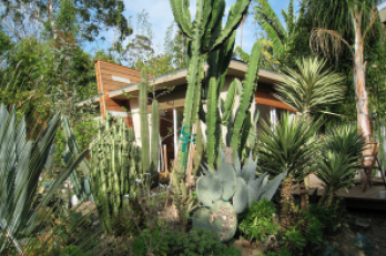 Drought-Tolerant Landscaping Rapidly Becoming a Selling Point in California
